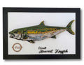3D Layered Wood Art - Kingfish